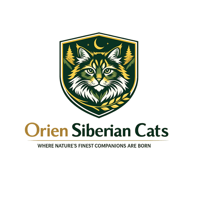 Orien Siberian Cats